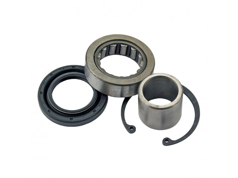 HD Inner Primary Bearing Kit All Balls Racing IPB25-3103