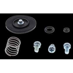 Acceleration pump rebuild kit All Balls Racing AP46-3001 Acceleration pump rebuild kit All Balls Racing AP46-3001