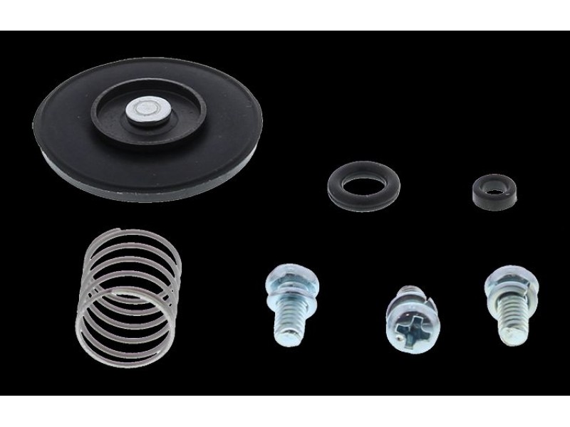 Acceleration pump rebuild kit All Balls Racing AP46-3002