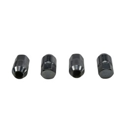 Wheel Nut Kit All Balls Racing WN85-1245 Wheel Nut Kit All Balls Racing WN85-1245