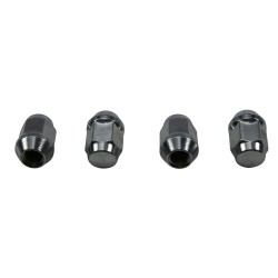 Wheel Nut Kit All Balls Racing WN85-1247 Wheel Nut Kit All Balls Racing WN85-1247