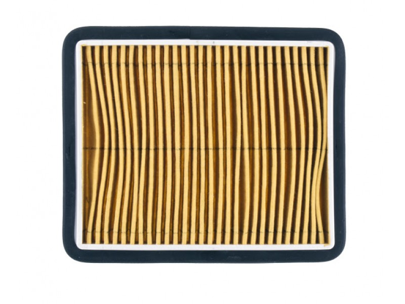 Filtru de aer RMS 100602371