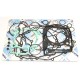 Kit complet ganituri motor ATHENA P400250850024