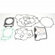 Kit complet ganituri motor ATHENA P400250850024