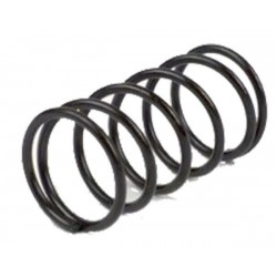 Spring clutch RMS 121950140 Spring clutch RMS 121950140