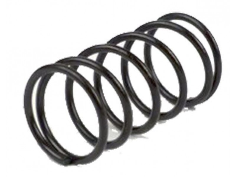 Spring clutch RMS 121950140 Spring clutch RMS 121950140