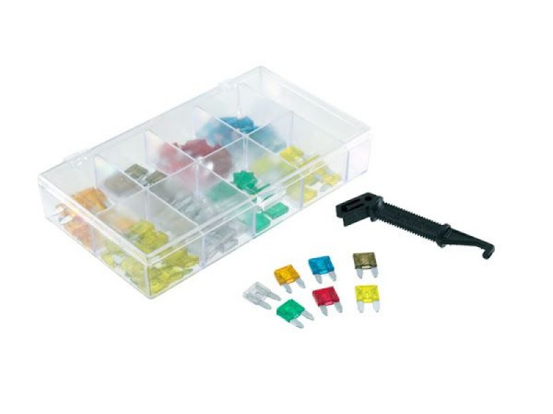 Mini fuses kit RMS 246151040 (100 pieces)