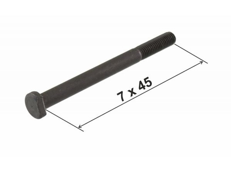 Crankcase bolt RMS 121858660