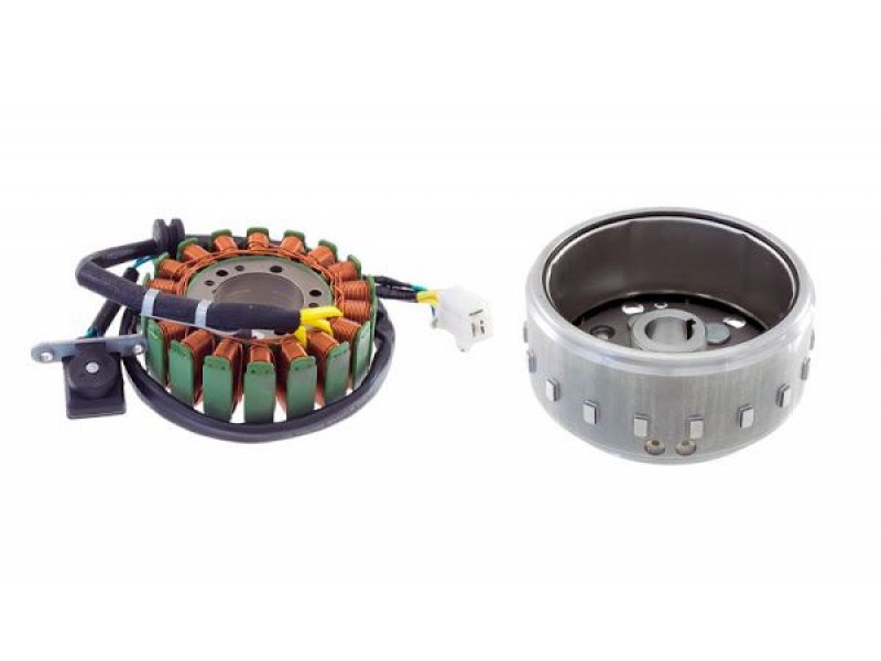 Magneto RMS 246360922