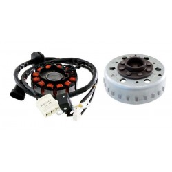 Magneto RMS 246360942 Magneto RMS 246360942