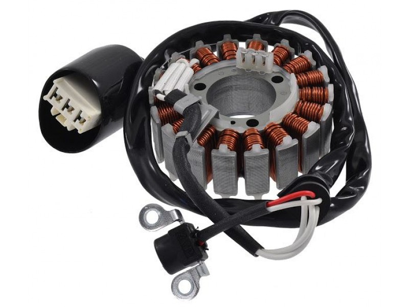 Stator assy RMS 246350420