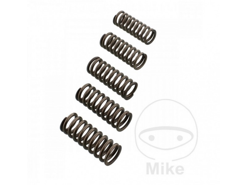 Clutch spring set EBC CSK214 5 Clutch spring set EBC CSK214 5