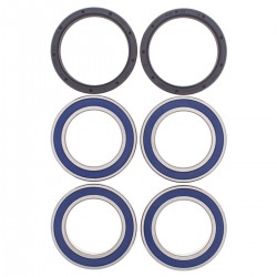 Kit rulmenti si garnituri roata All Balls Racing WB25-1565 Kit rulmenti si garnituri roata All Balls Racing WB25-1565