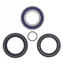 Kit rulmenti si garnituri roata All Balls Racing WB25-1572 Kit rulmenti si garnituri roata All Balls Racing WB25-1572