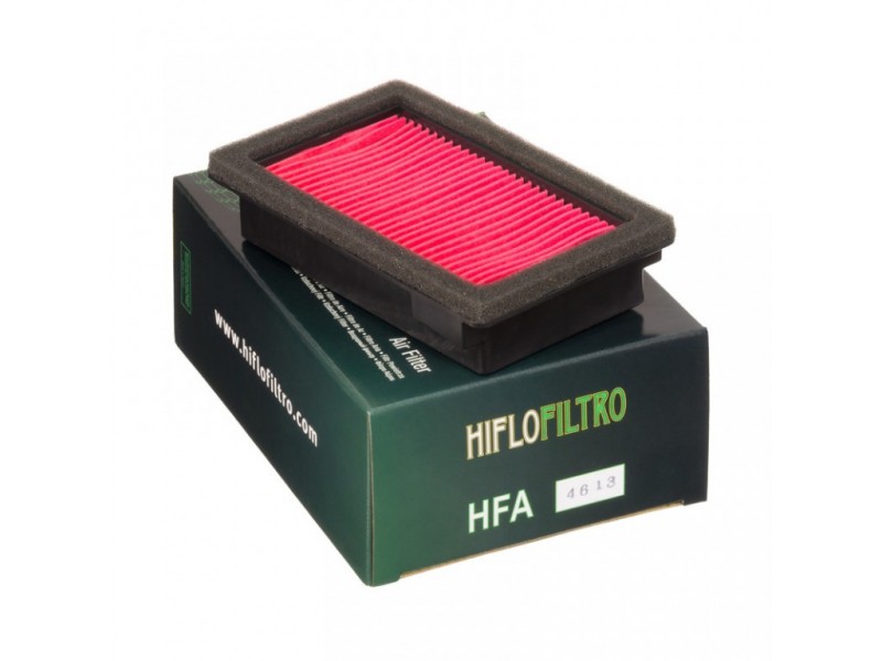 Filtru de aer HIFLOFILTRO HFA4613