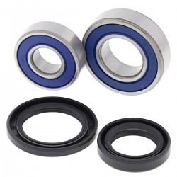 Kit rulmenti si garnituri roata All Balls Racing WB25-1576 Kit rulmenti si garnituri roata All Balls Racing WB25-1576