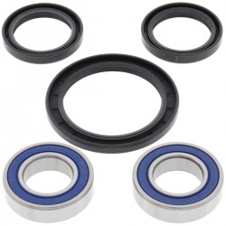 Kit rulmenti si garnituri roata All Balls Racing WB25-1584 Kit rulmenti si garnituri roata All Balls Racing WB25-1584