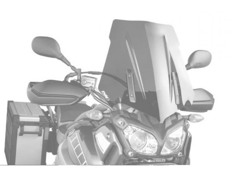 Windscreen PUIG TOURING 5568W transparent