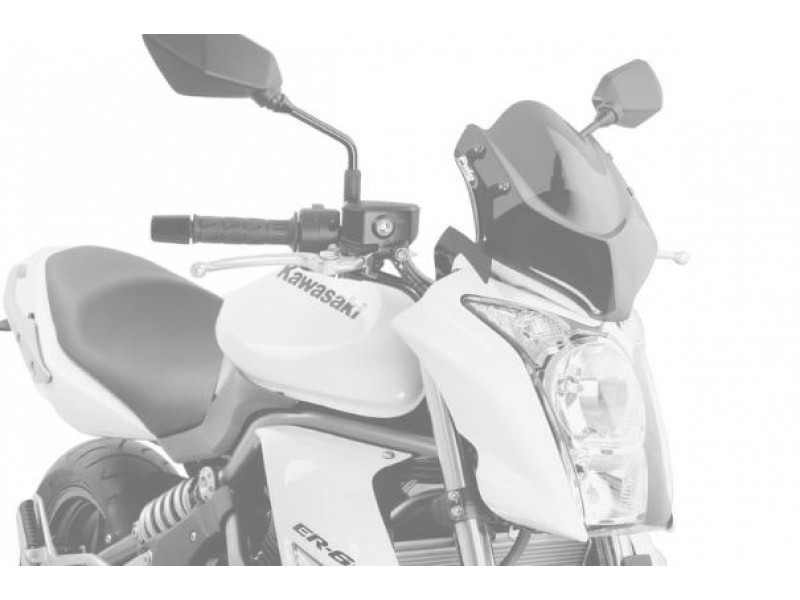 Windshield PUIG NEW. GEN SPORT 4950W transparent