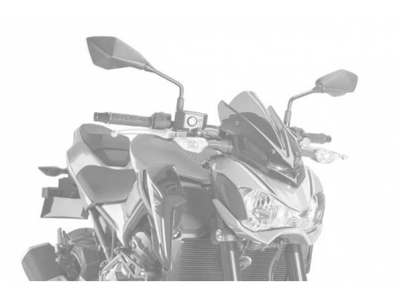 Windshield PUIG NEW. GEN SPORT 9689C carbon look