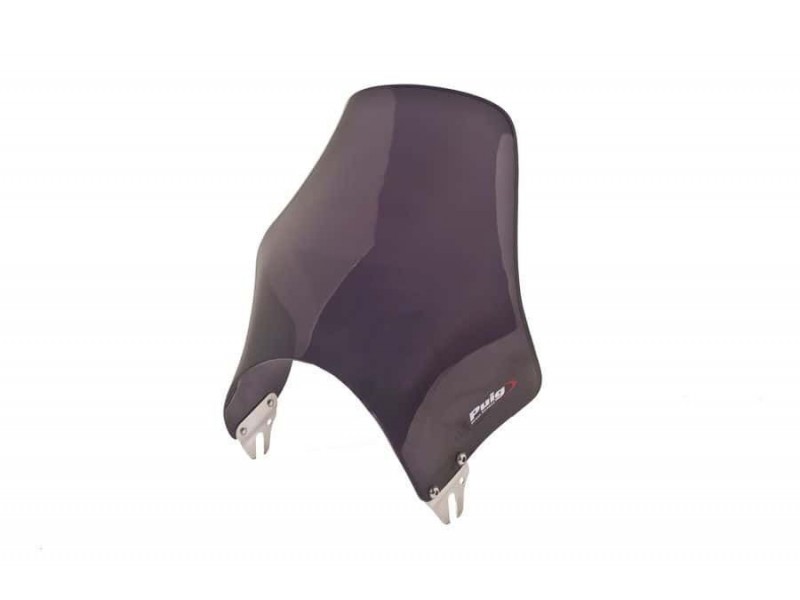 Windshield PUIG NAKED 4320F dark smoke