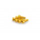 Screws PUIG ANODIZED 0146G galben M5 x 15mm (6pcs) Screws PUIG ANODIZED 0146G galben M5 x 15mm (6pcs)