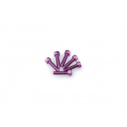 Screws PUIG ANODIZED 0147L violet M5 x 20mm (6pcs) Screws PUIG ANODIZED 0147L violet M5 x 20mm (6pcs)