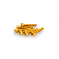 Screws PUIG ANODIZED 0185G galben M5 x 25mm (6pcs) Screws PUIG ANODIZED 0185G galben M5 x 25mm (6pcs)