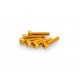Screws PUIG ANODIZED 0185G galben M5 x 25mm (6pcs)