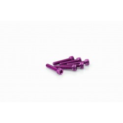 Screws PUIG ANODIZED 0185L violet M5 x 25mm (6pcs) Screws PUIG ANODIZED 0185L violet M5 x 25mm (6pcs)