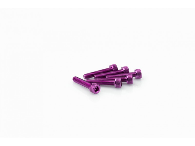 Screws PUIG ANODIZED 0185L violet M5 x 25mm (6pcs)