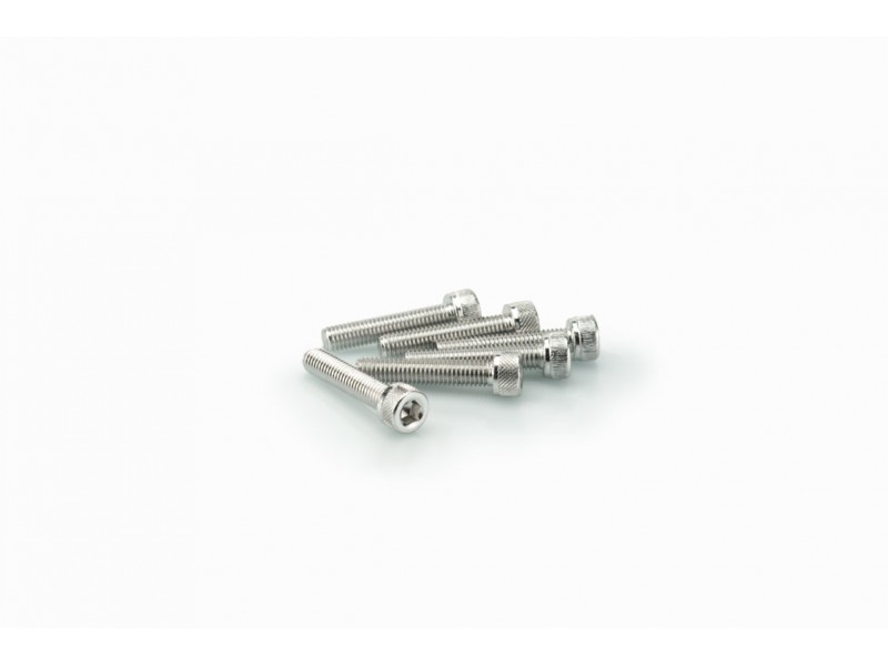 Screws PUIG ANODIZED 0185P argintiu M5 x 25mm (6pcs)