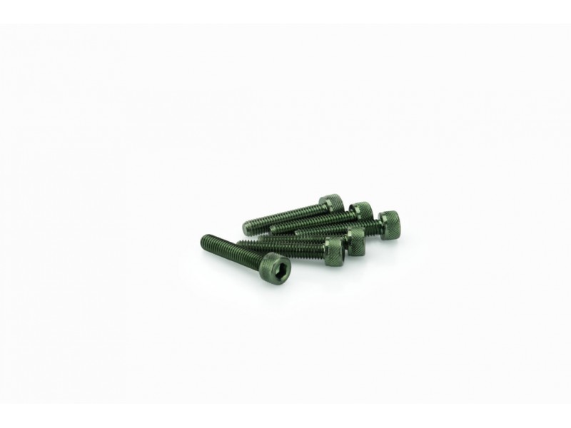 Screws PUIG ANODIZED 0185V verde M5 x 25mm (6pcs)