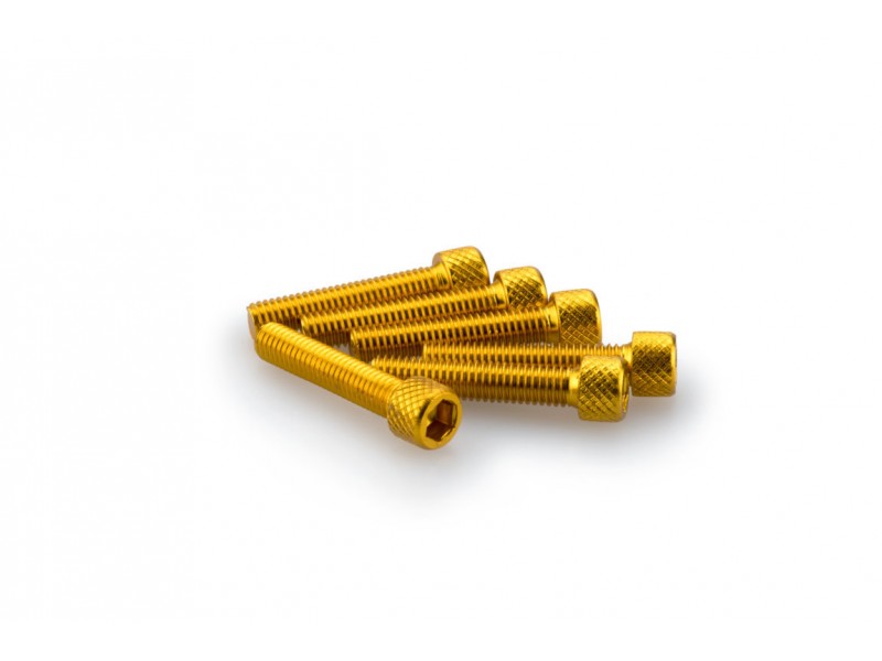 Screws PUIG ANODIZED 0258G galben M6 x 30mm (6pcs)