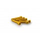 Screws PUIG ANODIZED 0258G galben M6 x 30mm (6pcs)