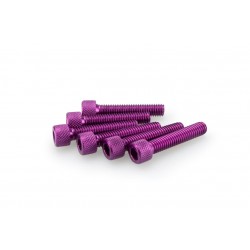 Screws PUIG ANODIZED 0258L violet M6 x 30mm (6pcs) Screws PUIG ANODIZED 0258L violet M6 x 30mm (6pcs)