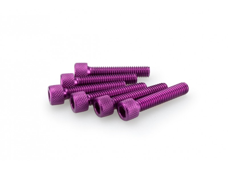 Screws PUIG ANODIZED 0258L violet M6 x 30mm (6pcs) Screws PUIG ANODIZED 0258L violet M6 x 30mm (6pcs)