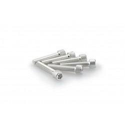 Screws PUIG ANODIZED 0258P argintiu M6 x 30mm (6pcs) Screws PUIG ANODIZED 0258P argintiu M6 x 30mm (6pcs)