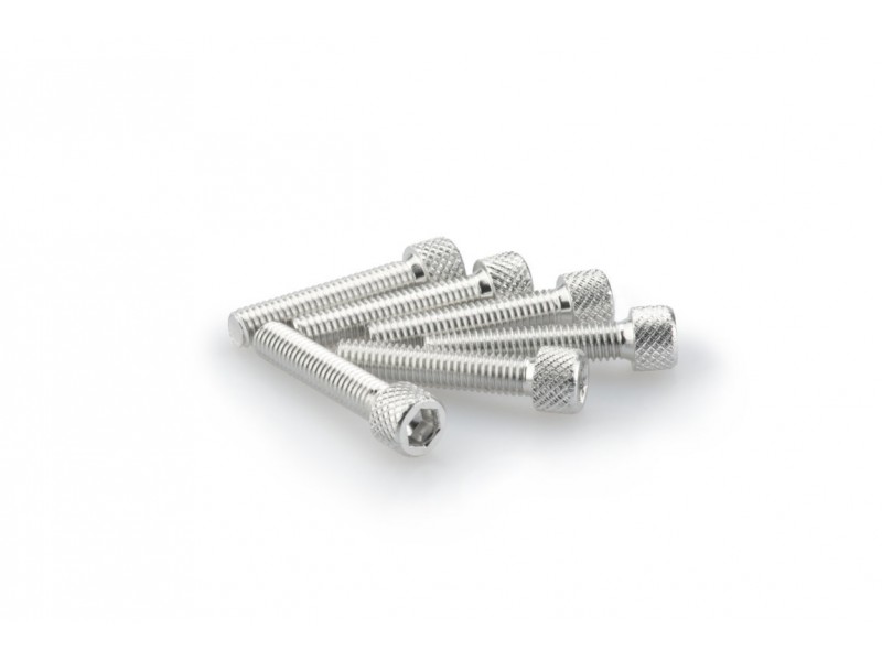 Screws PUIG ANODIZED 0258P argintiu M6 x 30mm (6pcs) Screws PUIG ANODIZED 0258P argintiu M6 x 30mm (6pcs)