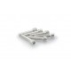 Screws PUIG ANODIZED 0258P argintiu M6 x 30mm (6pcs) Screws PUIG ANODIZED 0258P argintiu M6 x 30mm (6pcs)