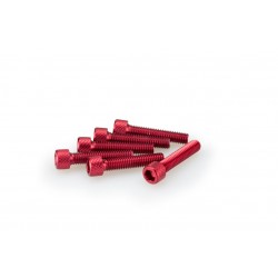 Screws PUIG ANODIZED 0258R Rosu M6 x 30mm (6pcs) Screws PUIG ANODIZED 0258R Rosu M6 x 30mm (6pcs)