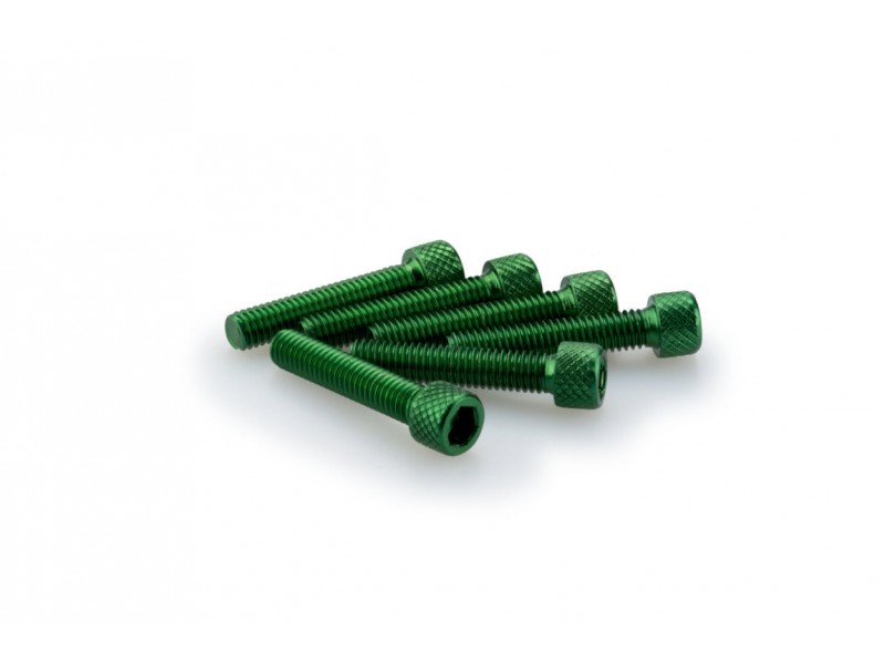 Screws PUIG ANODIZED 0258V verde M6 x 30mm (6pcs)