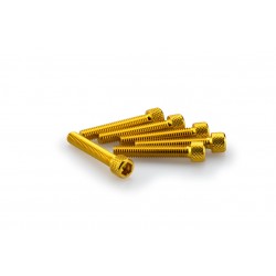 Screws PUIG ANODIZED 0346G galben M6 x 35mm (6pcs) Screws PUIG ANODIZED 0346G galben M6 x 35mm (6pcs)