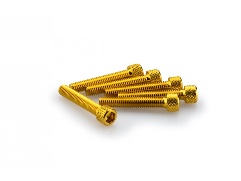 Screws PUIG ANODIZED 0346G galben M6 x 35mm (6pcs)