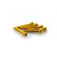 Screws PUIG ANODIZED 0346G galben M6 x 35mm (6pcs)
