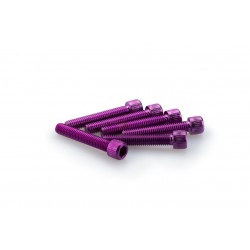 Screws PUIG ANODIZED 0346L violet M6 x 35mm (6pcs) Screws PUIG ANODIZED 0346L violet M6 x 35mm (6pcs)
