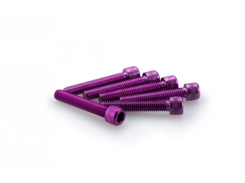 Screws PUIG ANODIZED 0346L violet M6 x 35mm (6pcs) Screws PUIG ANODIZED 0346L violet M6 x 35mm (6pcs)