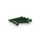 Screws PUIG ANODIZED 0346V verde M6 x 35mm (6pcs) Screws PUIG ANODIZED 0346V verde M6 x 35mm (6pcs)