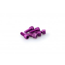 Screws PUIG ANODIZED 0363L violet M6 x 15mm (6pcs) Screws PUIG ANODIZED 0363L violet M6 x 15mm (6pcs)