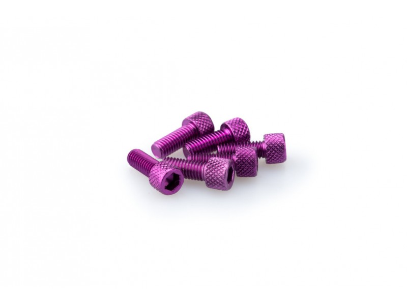 Screws PUIG ANODIZED 0363L violet M6 x 15mm (6pcs)
